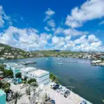 Aerial view of a tropical harbor town with turquoise buildings, palm trees, and a calm blue bay with anchored boats.