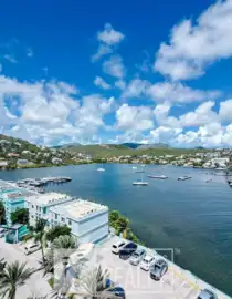 Aerial view of a tropical harbor town with turquoise buildings palm trees and a calm blue bay with anchored boats