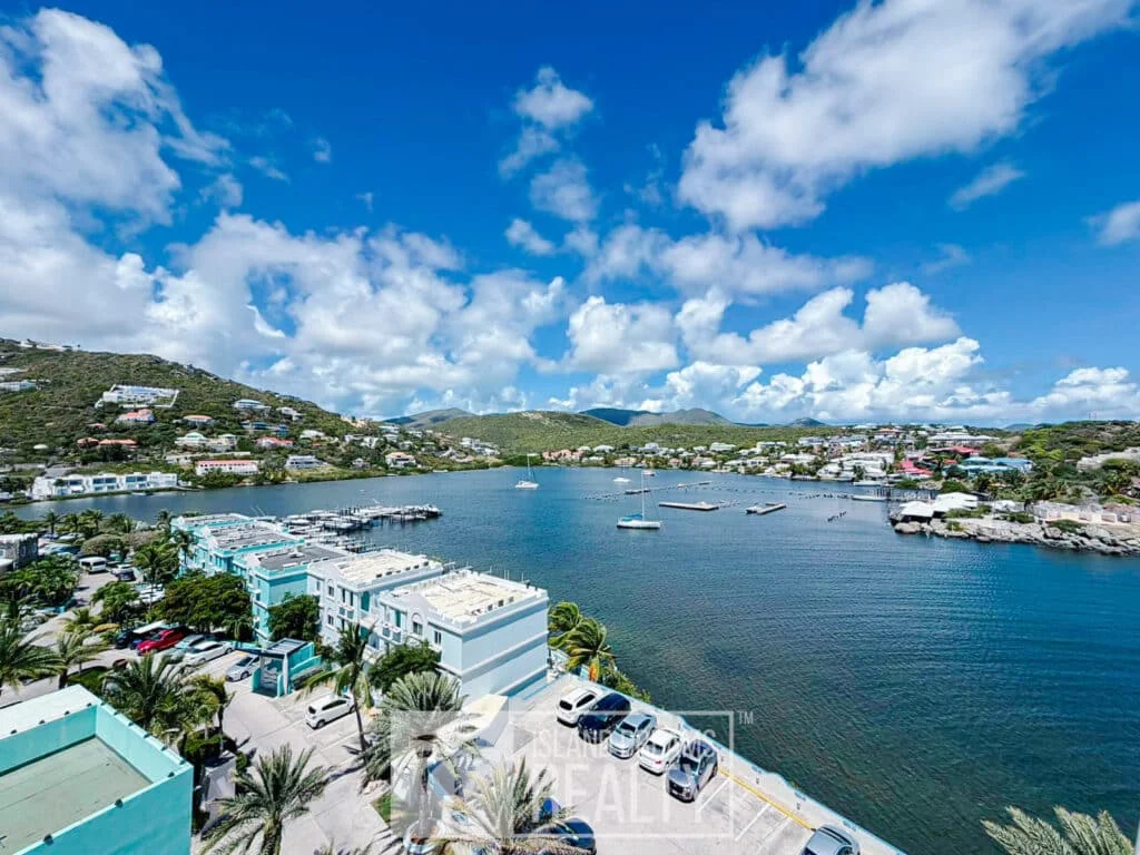 Aerial view of a tropical harbor town with turquoise buildings, palm trees, and a calm blue bay with anchored boats.