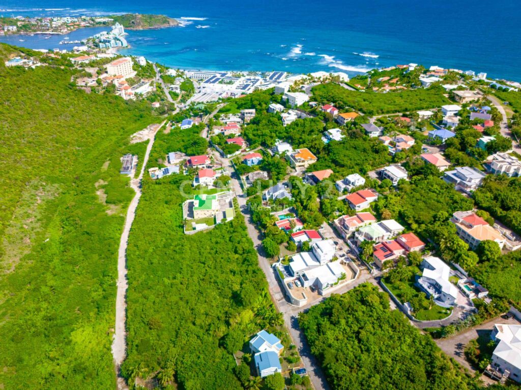 default - Wei Landgraf Aerial view of a coastal hillside town with dense greenery, winding streets, and colorful houses, with the blue ocean in the background.